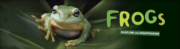 frogs_slideshow_banner_940x260_940_260_85shar-70-.5-5